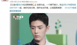 黑子爆料刘宇宁的视频,揭秘背后真相